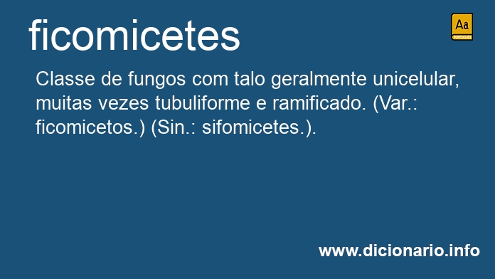 Significado de ficomicetes