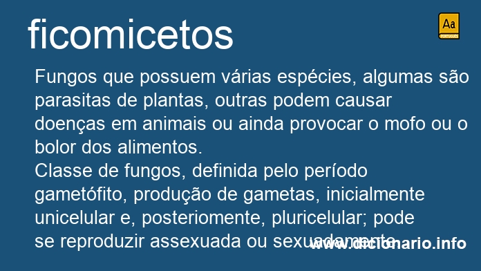 Significado de ficomicetos