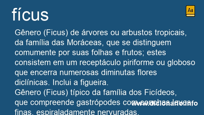 Significado de fcus