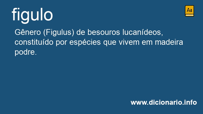 Significado de figulo