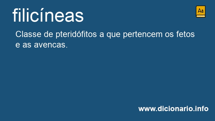 Significado de filicneas