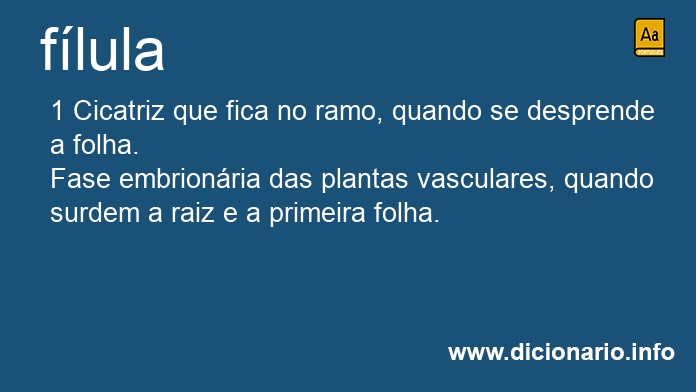 Significado de flula