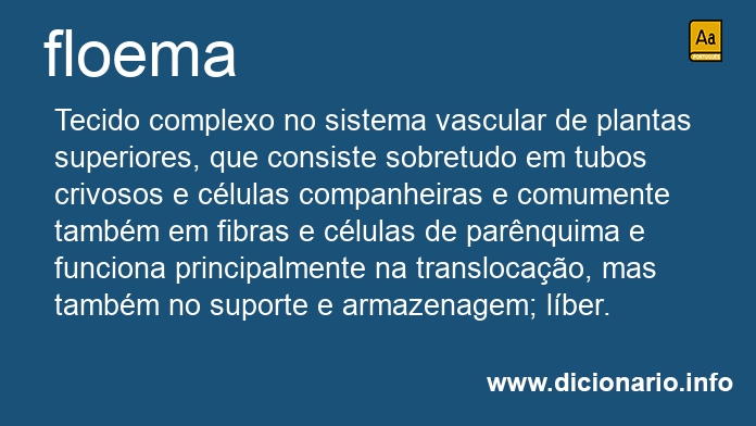 Significado de floema