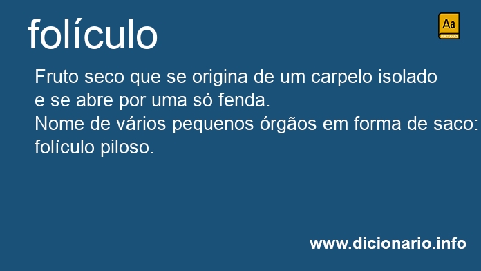 Significado de folculo