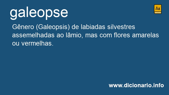 Significado de galeopse