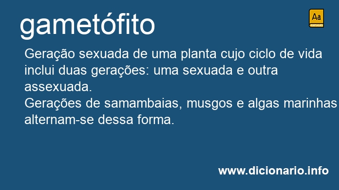 Significado de gametfito