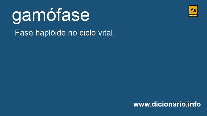 Significado de gamfase