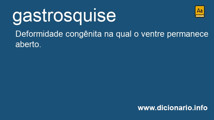 Significado de gastrosquise