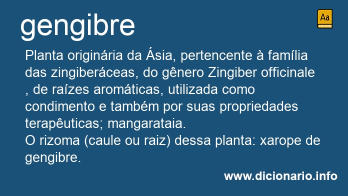 Significado de gengibre