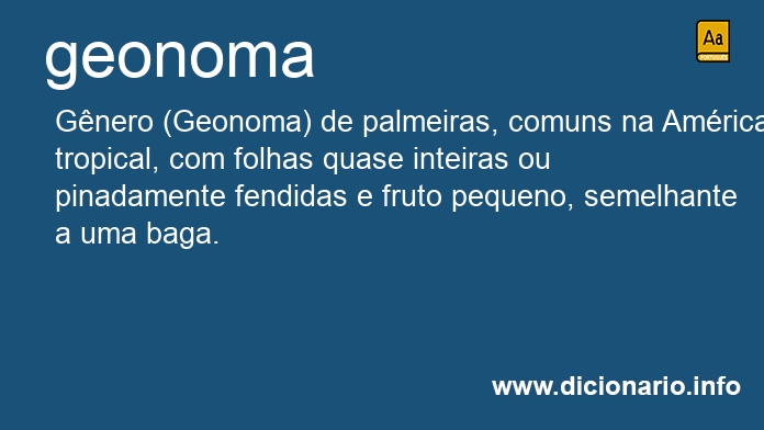 Significado de geonoma