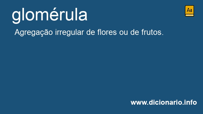 Significado de glomrula