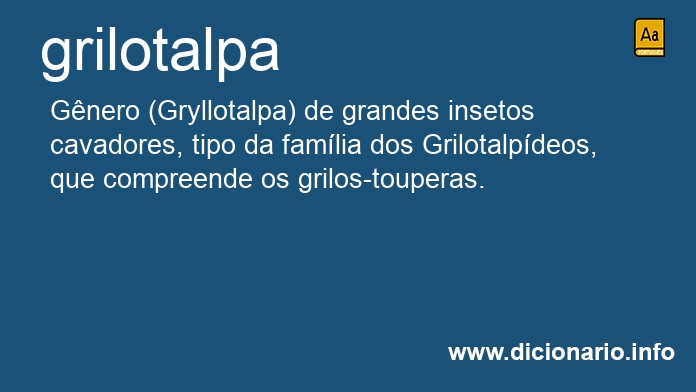 Significado de grilotalpa