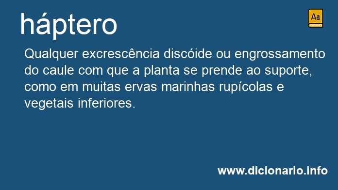 Significado de hptero