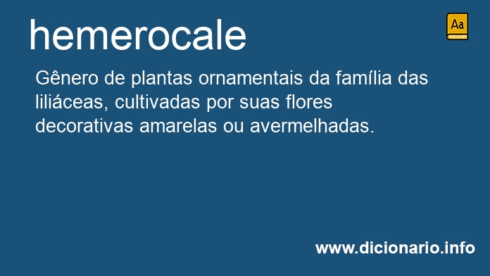 Significado de hemerocale