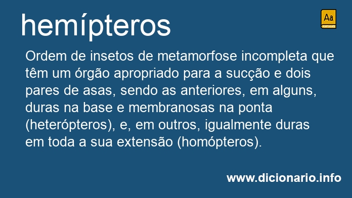Significado de hempteros