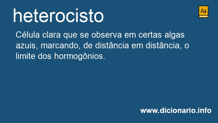 Significado de heterocistos