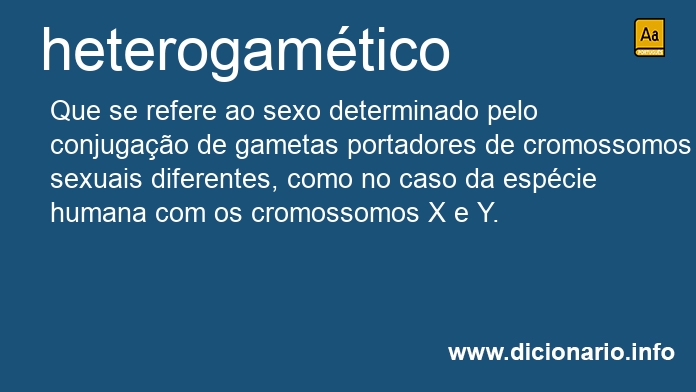 Significado de heterogamtico