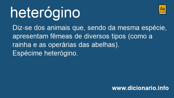 Significado de hetergino
