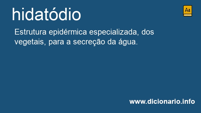 Significado de hidatdios