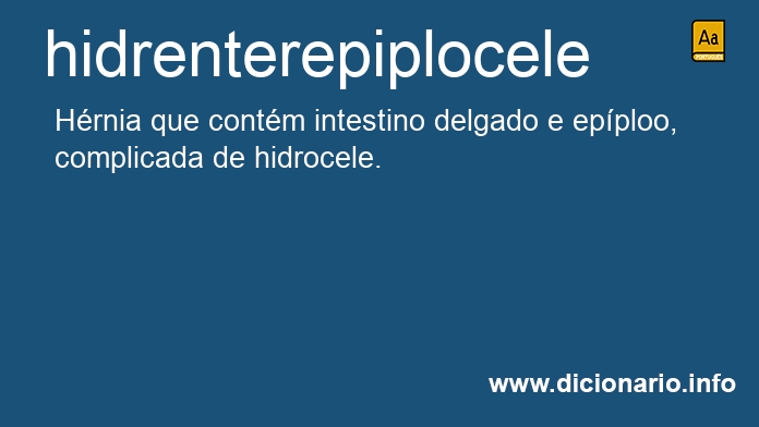 Significado de hidrenterepiplocele