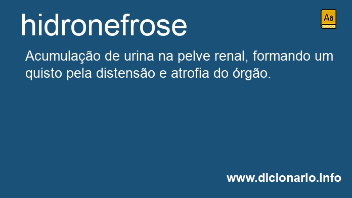 Significado de hidronefrose