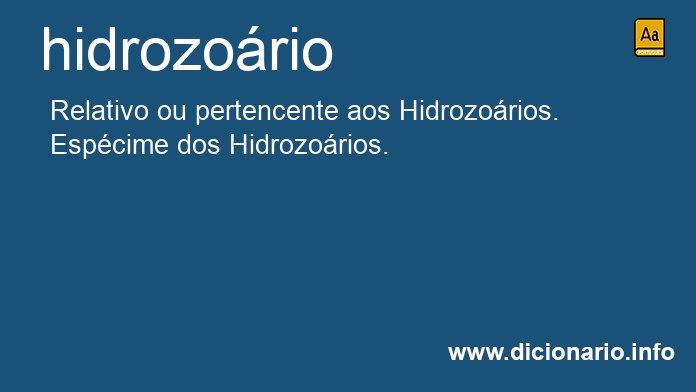 Significado de hidrozorio