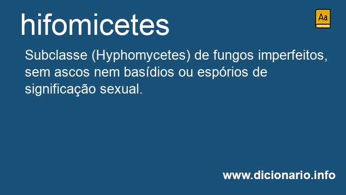 Significado de hifomicetes