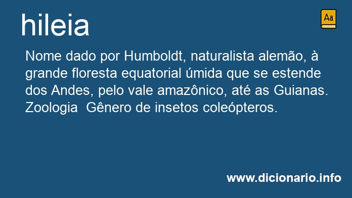 Significado de hileia