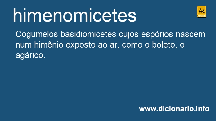 Significado de himenomicetes