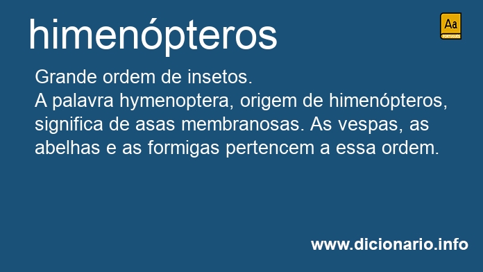 Significado de himenpteros