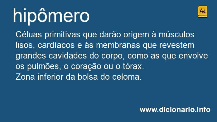 Significado de hipmero