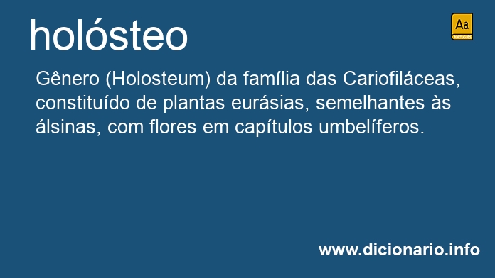 Significado de holsteo