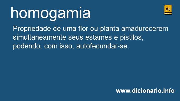 Significado de homogamia