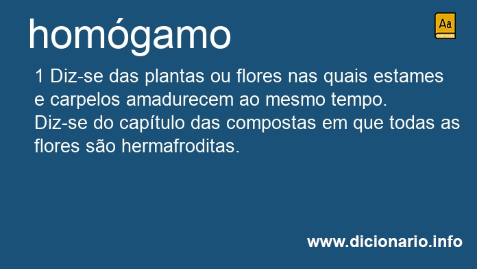 Significado de homgamo