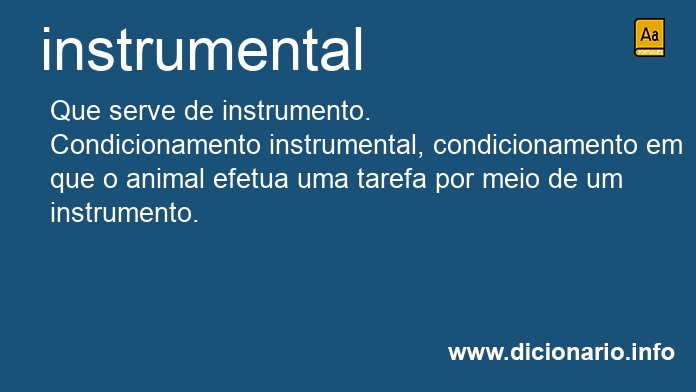 Significado de instrumentalidade