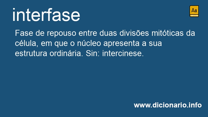 Significado de interfase