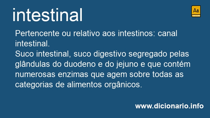 Significado de intestinal