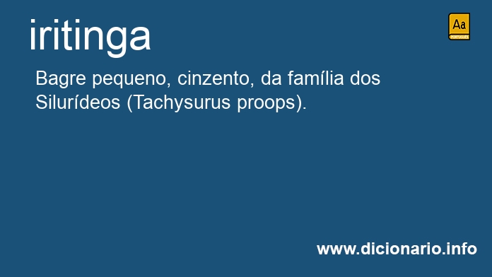 Significado de iritinga