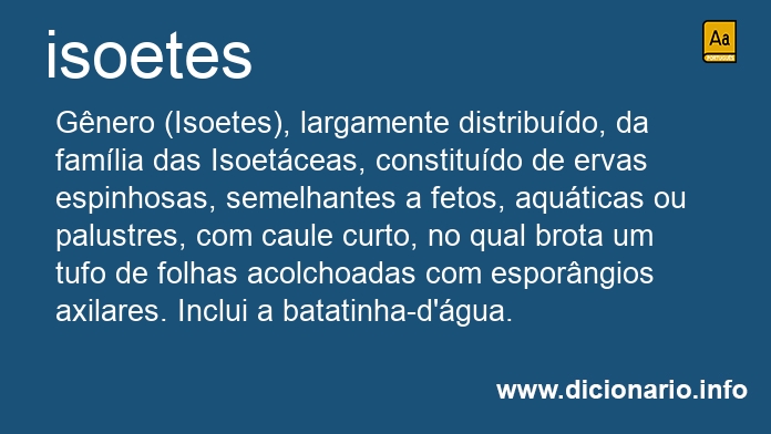 Significado de isoetes