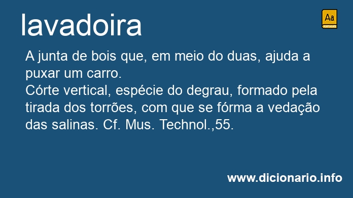 Significado de lavadoira