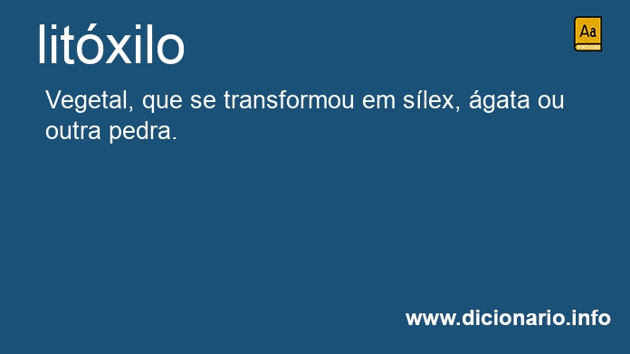 Significado de litxilo