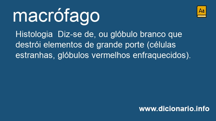 Significado de macrfagos
