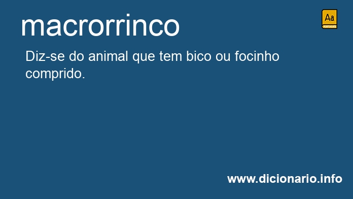 Significado de macrorrinco