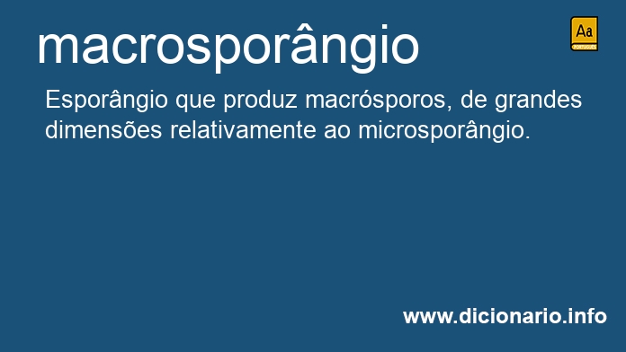 Significado de macrosporngio