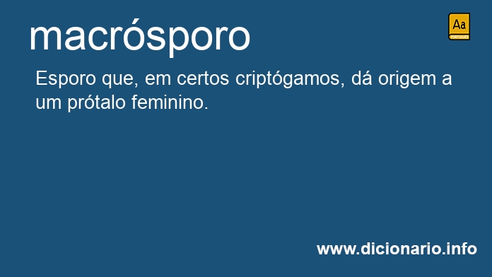 Significado de macrsporo