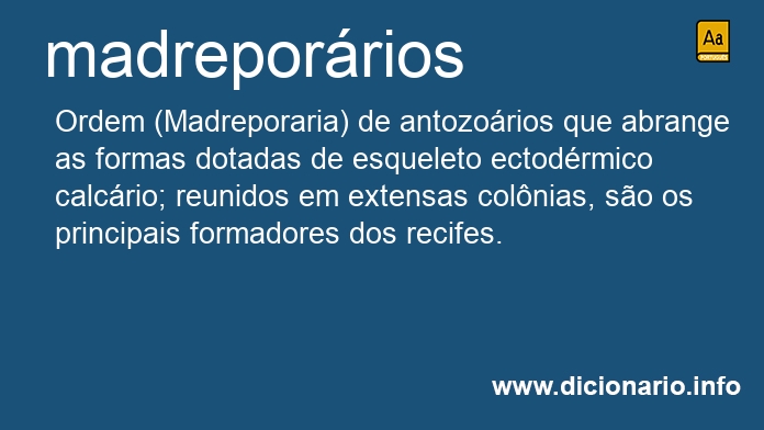 Significado de madreporrios