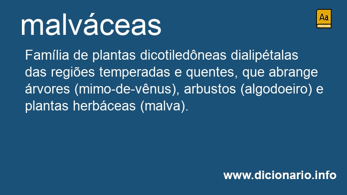 Significado de malvceas