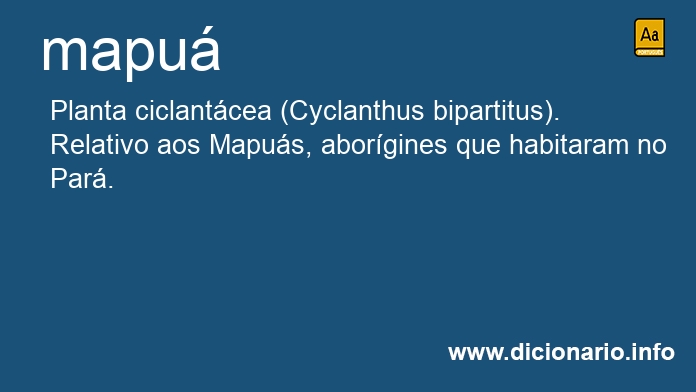 Significado de mapu�