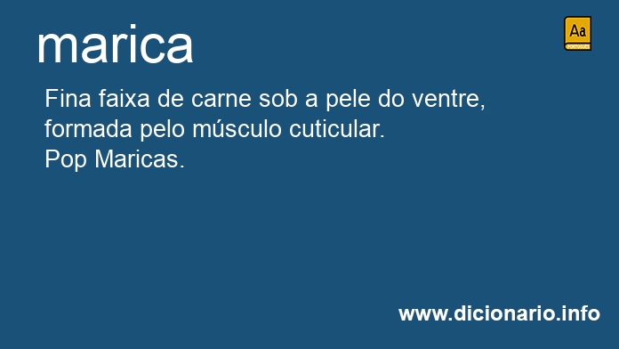 Significado de marica