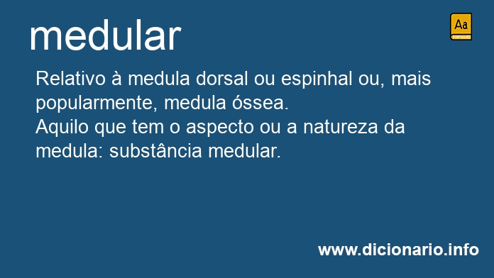 Significado de medulas